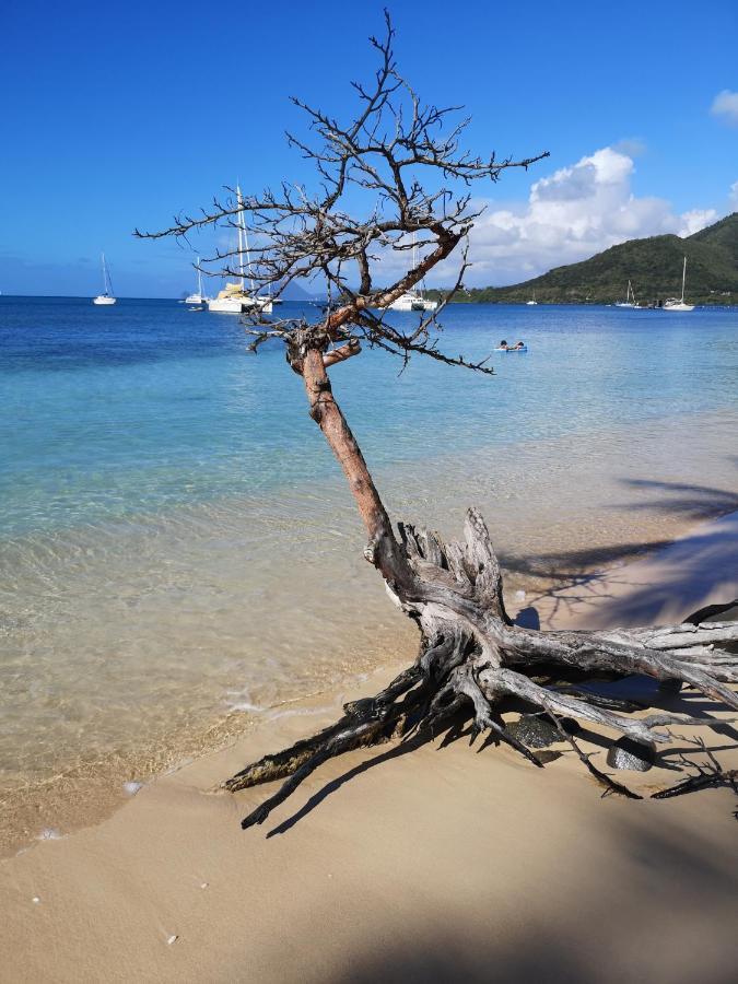 Goyave Lägenhet Sainte-Anne Exteriör bild